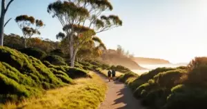 Big Walk Launches Today on PS5, Switch 2, and Steam as a Free PS Plus Game